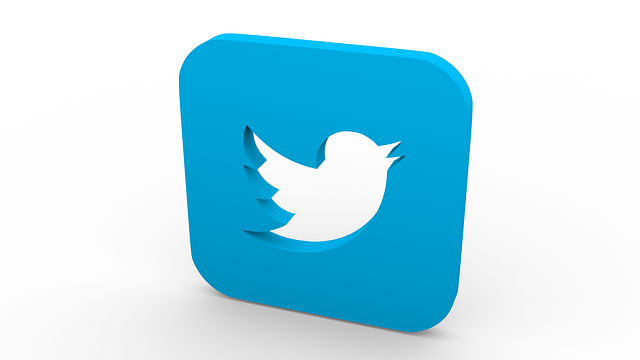 3D rendered image of twitter icon