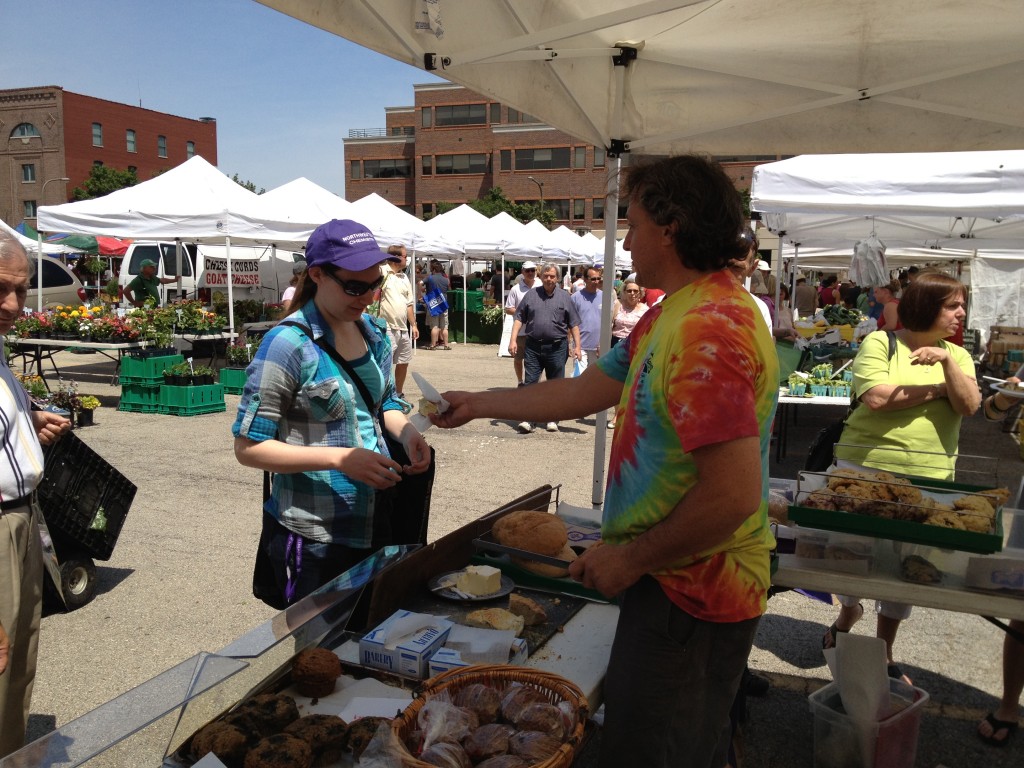 STEPHENS ONIONS & SHALLOTS - Marlborough Farmers' Market