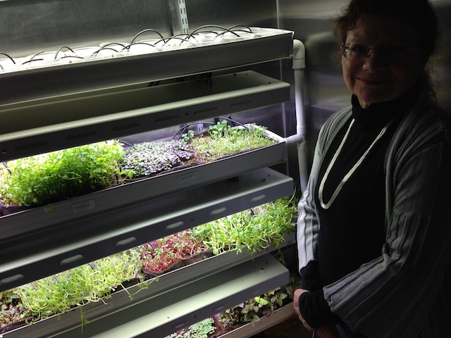 Micro greens