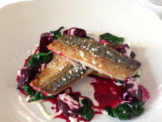 Mackerel