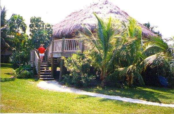 LIttle Palm Hut